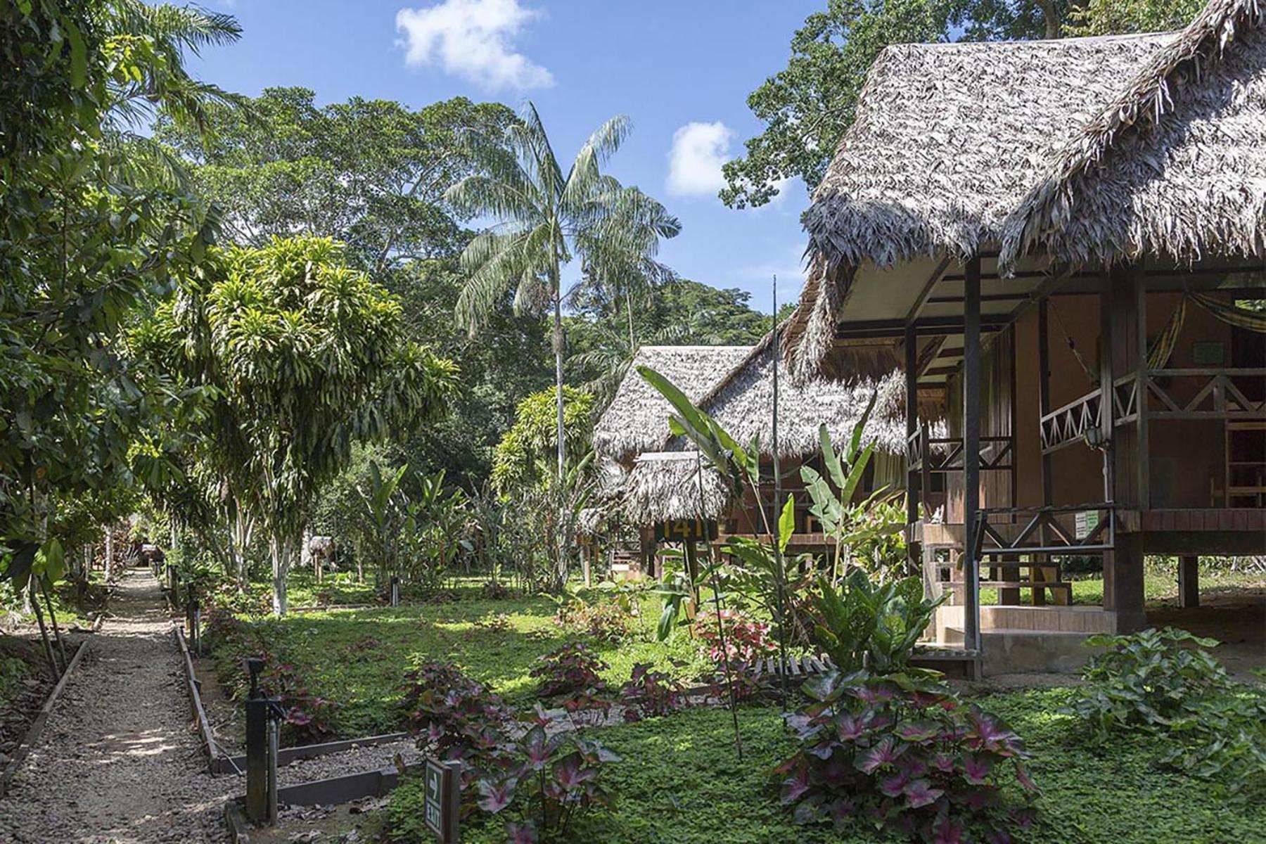 Tambopata Ecolodge Exteriör bild