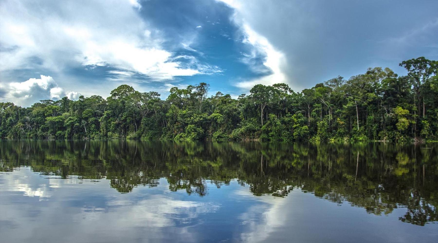 Tambopata Ecolodge Exteriör bild